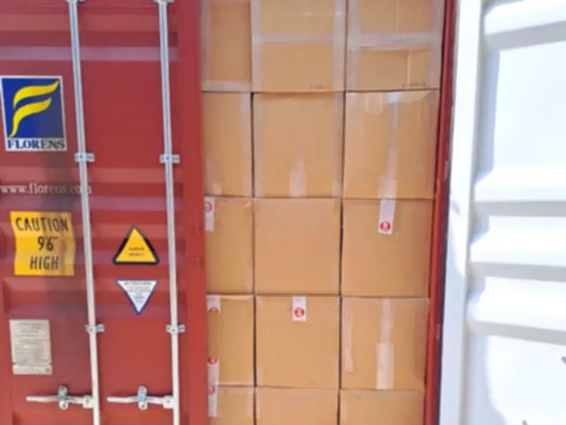 Record £139m cannabis seizure at Southampton port, largest ever Border Force haul