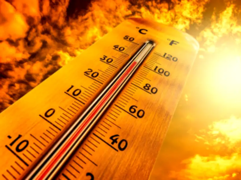 Red Weather Alert: Birmingham and Black Country Urged to Take Key Steps