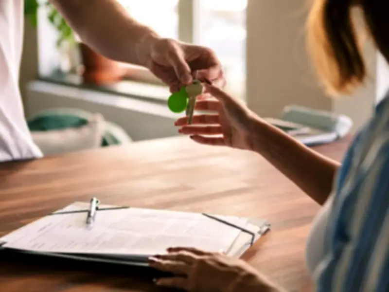 Renters rush to buy pets after new Renters Rights Act law change