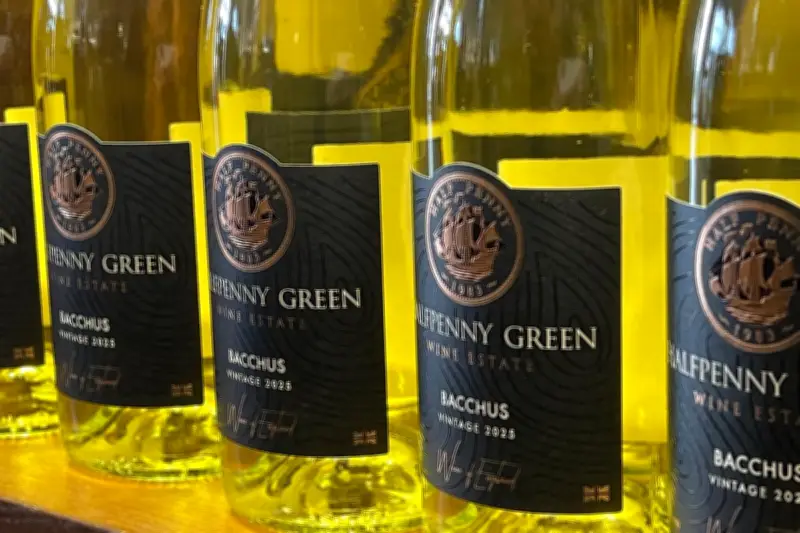 Stourbridge Vineyard Strikes Gold with Award-Winning Bacchus Wine