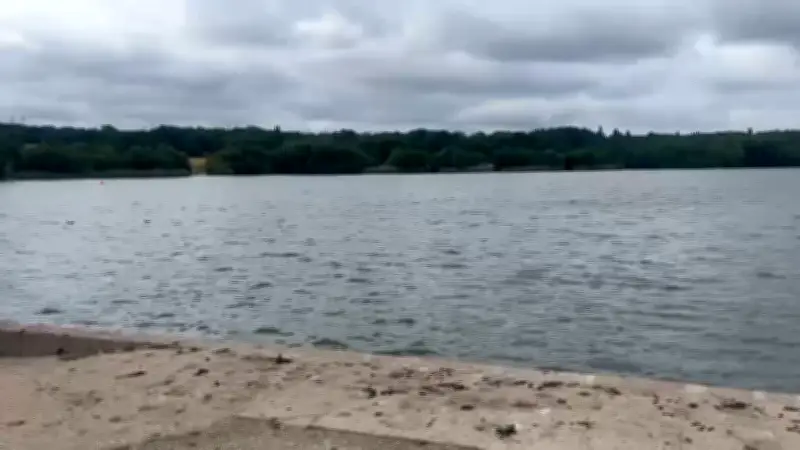 Swan Pool 'Eerily Quiet' After Woman's Body Pulled from Water