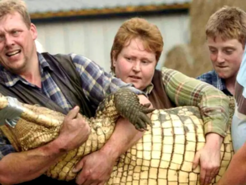 Toddler Thrown into Crocodile Enclosure at Huntingdon Zoo May Have Escaped Death