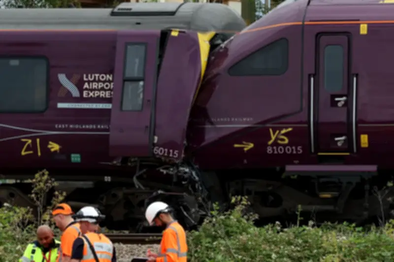 Train Passed Red Signal Before Fatal Crash: Driver Killed, 100 Injured