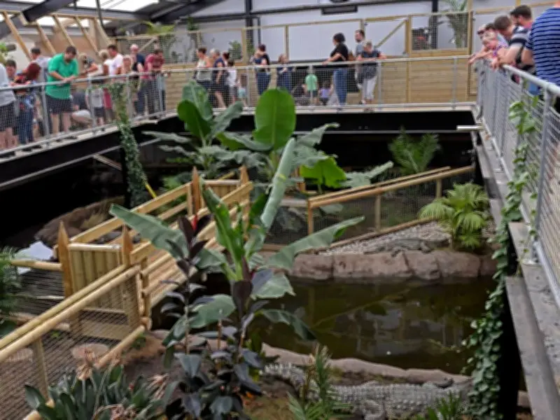 UK Zoo Reopens Crocodile Enclosure Nine Days After Boy, 3, Attacked