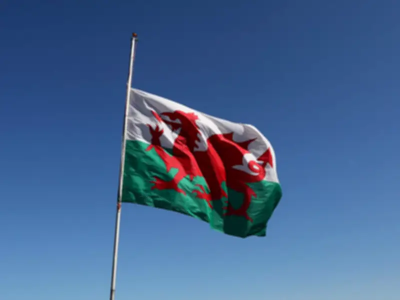 Wales Sees Rise in Inward Investment Projects but Job Promises Fall
