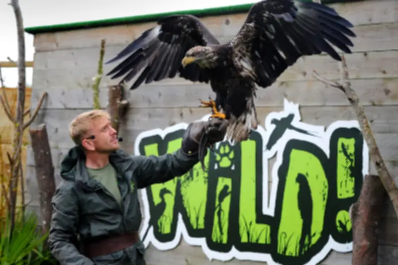 West Midlands Zoo to Close to Visitors Due to Extreme Hot Weather Warnings
