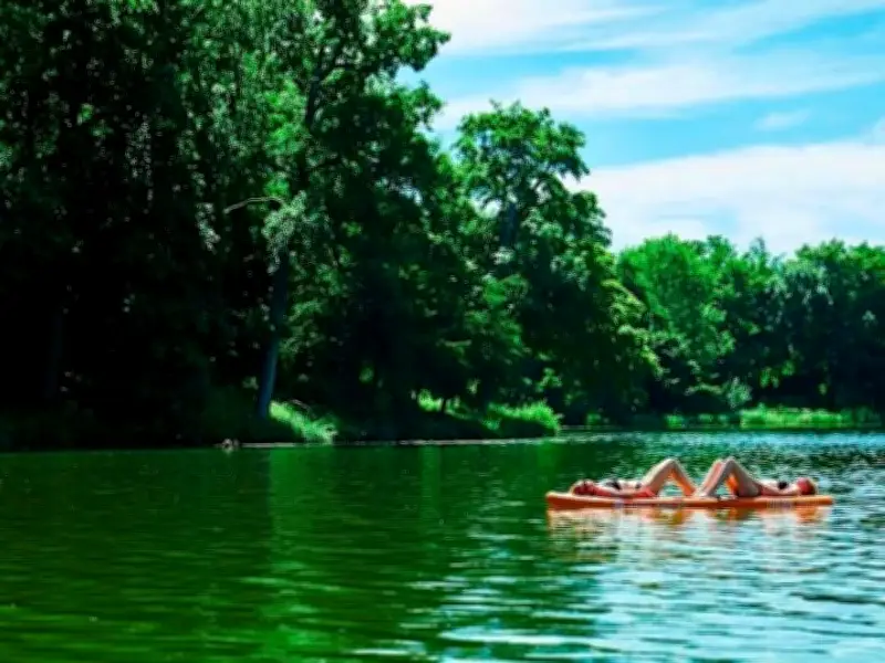Wild Swimming Festival at Capability Brown Park Near Birmingham Returns July 2026