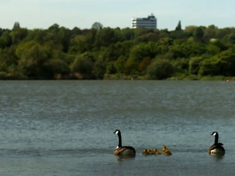 Woman's Body Recovered from Sandwell Valley Country Park Pool