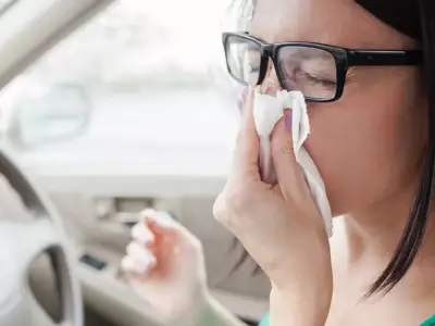 £1,000 pollen bomb driving alert: even non-hayfever drivers at risk