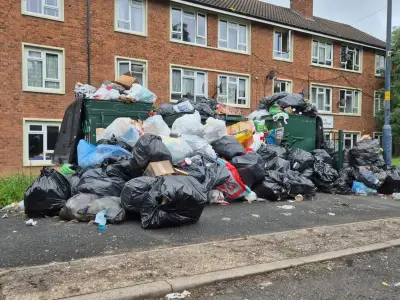 Birmingham Council Confirms Pest Control Cuts Amid Bins Strike Disruption