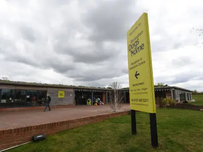 Birmingham Dogs Home Family Fun Day: Parking, Tickets, and What to Expect