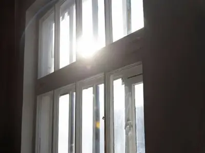 Households Warned to Shut Windows as Flying Ant Day Arrives Early in 2026
