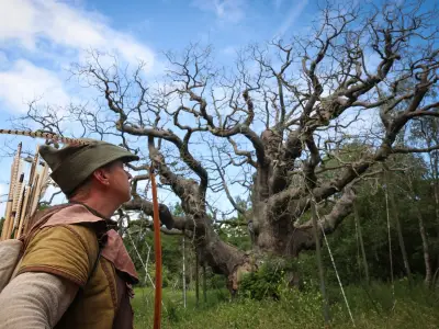 Major Oak in Sherwood Forest Confirmed Dead After 1,000 Years Due to Tourism