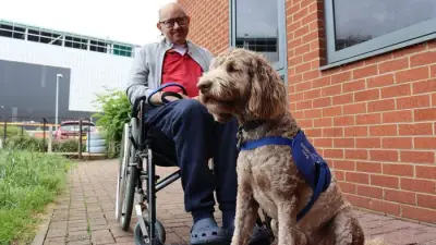 Pet Dog Odin Trained as Disability Assistance Dog After Cancer Battle
