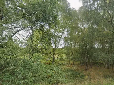 Police Hunt Knifeman Who Tried to Grab Woman in Cannock, Seek Dog Walker Witness
