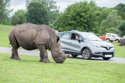 Safari Park Visitors Warned of Delays from Temporary Roadworks