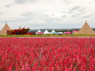 Shropshire Petal Fields Near Birmingham Open for Just 11 Days This Summer