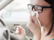 £1,000 pollen bomb driving alert: even non-hayfever drivers at risk