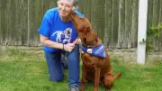 Army Veteran Finds New Purpose as Puppy Socialiser for Support Dogs