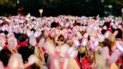 Ashgate Hospice Seeks 50 More Volunteers for Sparkle Night Walk