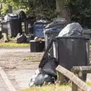Birmingham Bin Changes Halted as New Council Leadership Awaited