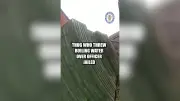 Birmingham Man Jailed 14.5 Years for Throwing Boiling Water Over Police Officer