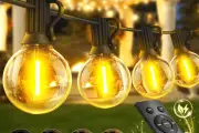 Brighten Your Garden with Waterproof Festoon Lights