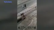 Family releases CCTV of fatal punch to warn one punch can kill