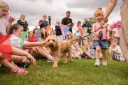 FleurFest Community Event Raises Funds for Local Charities in Birmingham