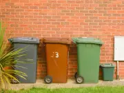 Households in Lichfield and Tamworth Get Two New Food Waste Bins from July