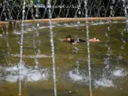 Met Office Issues Rare Red Heatwave Warning for 36 Parts of England - Full List