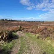 Midlands to Sizzle in 26°C Mini Heatwave on June 13