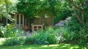 North-Facing Gardens: Expert Tips for Shade-Tolerant Plants and Design
