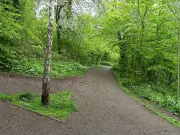 Police Release Description of Suspect in Abduction of 4-Year-Old Boy from Haden Hill Park