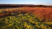 Stunning Photos Show Peak District Moorlands Revived by Severn Trent Project