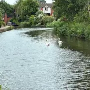 Three Birds Killed by Catapults on Kidderminster Canal