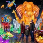 Twycross Zoo Lanterns of the Wild Returns for 2026 Christmas Event