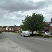 Woman Arrested After Man and Dogs Found Dead in Liverpool Home