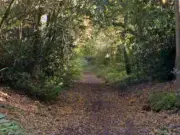 Wombourne Segway Rider Gets Police Warning in Anti-Social Behaviour Crackdown