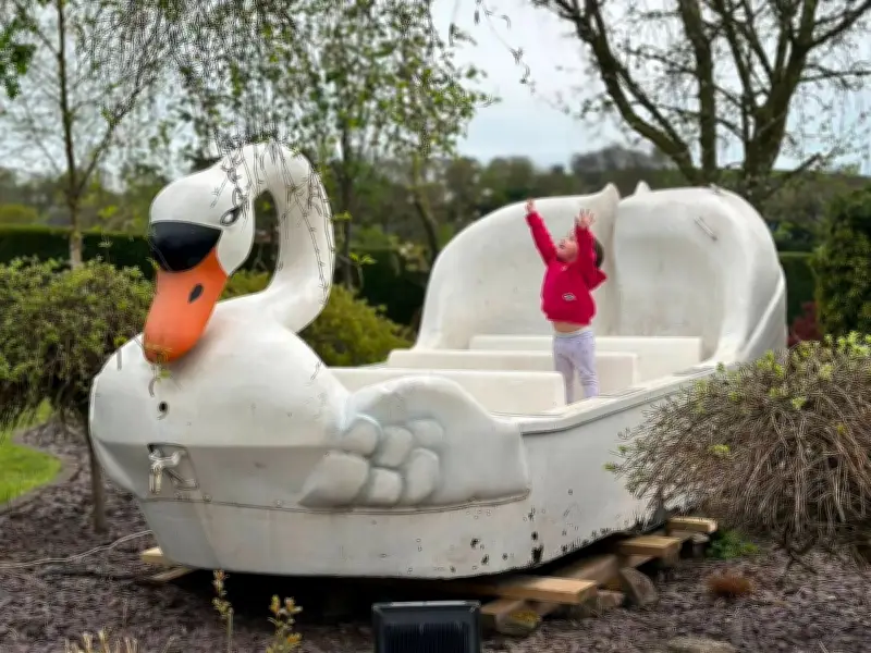 Alton Towers fan spends thousands on original swan boat from Walsall bar
