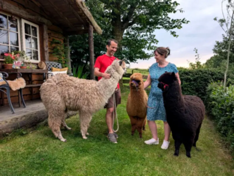 Birmingham nanny builds romantic cabin in Wales after redundancy