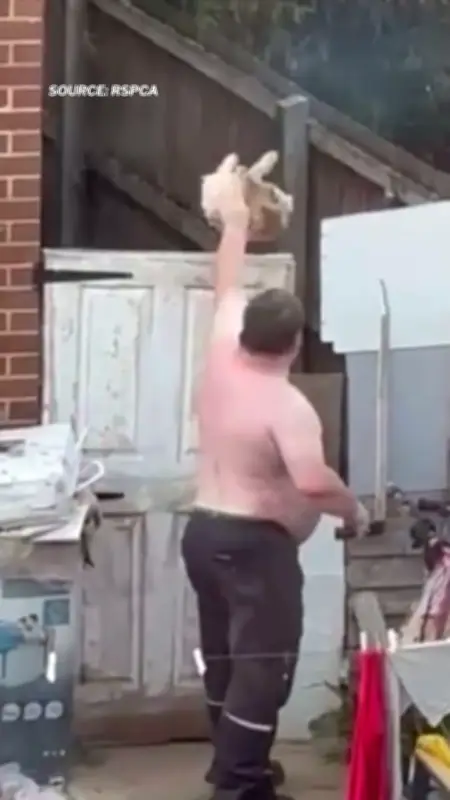 Bristol Man Banned from Keeping Animals for Throwing Dog Over Gate