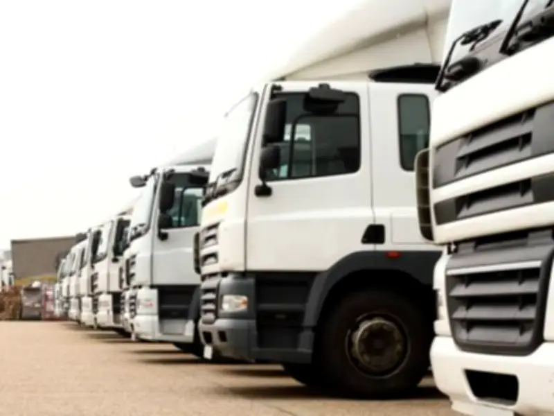 HGVs Could Face Tougher Rules After Surrey Petition Backed by 450