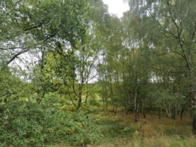Man arrested after woman grabbed by knife-wielding man in Cannock