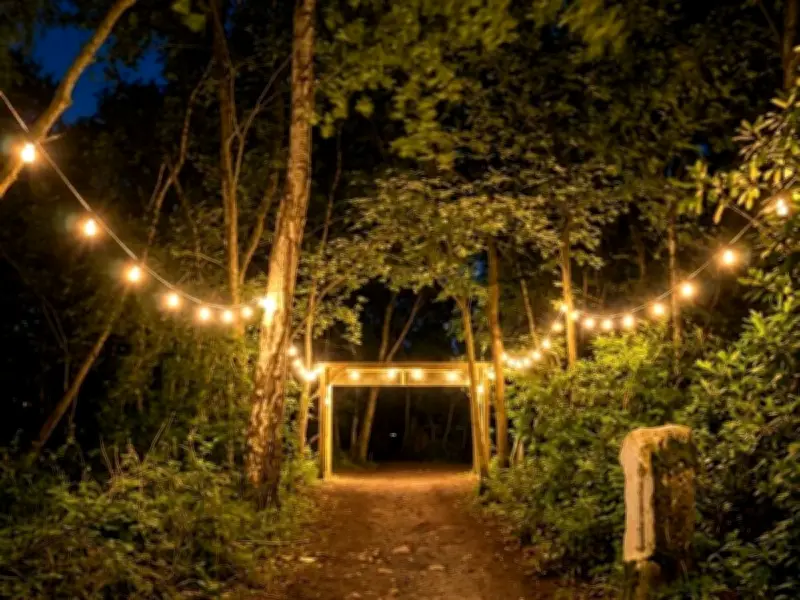 Off Grid Festival: New Woodland Music Event Coming to Sutton Coldfield This Summer