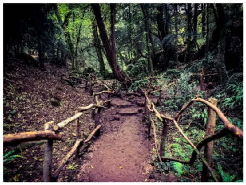 Outstanding campsite near magical Puzzlewood 90 minutes from Birmingham