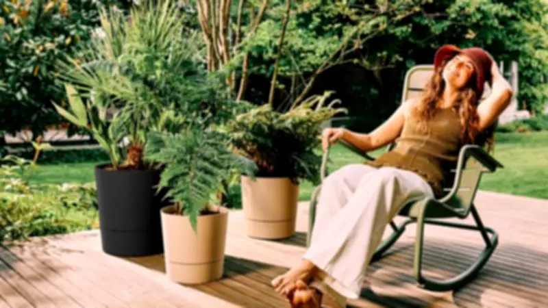 Six Watering Aids to Save Plants and Cut Waste This Summer