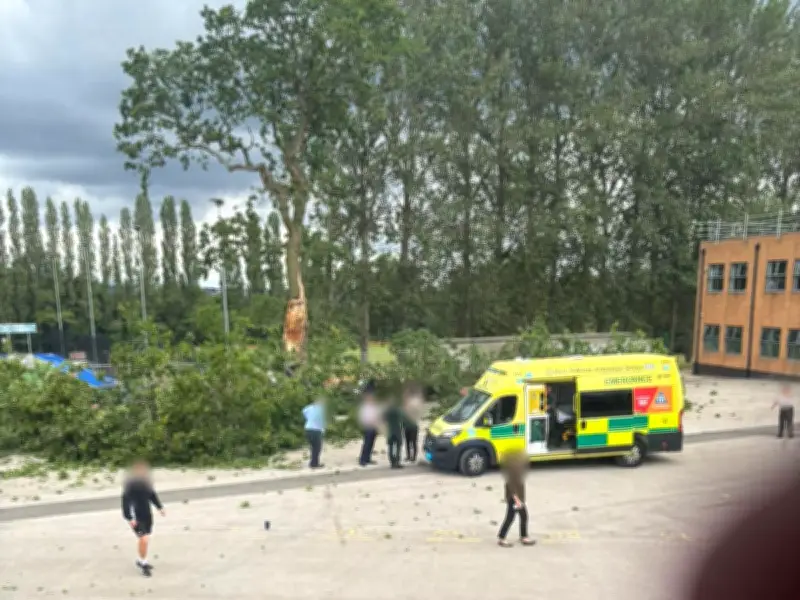 Three boys injured as tree falls at Birmingham school, one seriously hurt