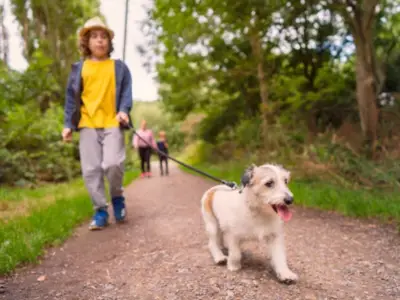 Dog Walking Law Change July 31: £100 Fine for Off-Lead Dogs in Open Access Areas
