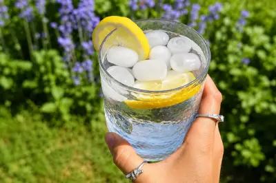 Stacey Solomon Finds Cheap Ice Machine on Amazon for Heatwave